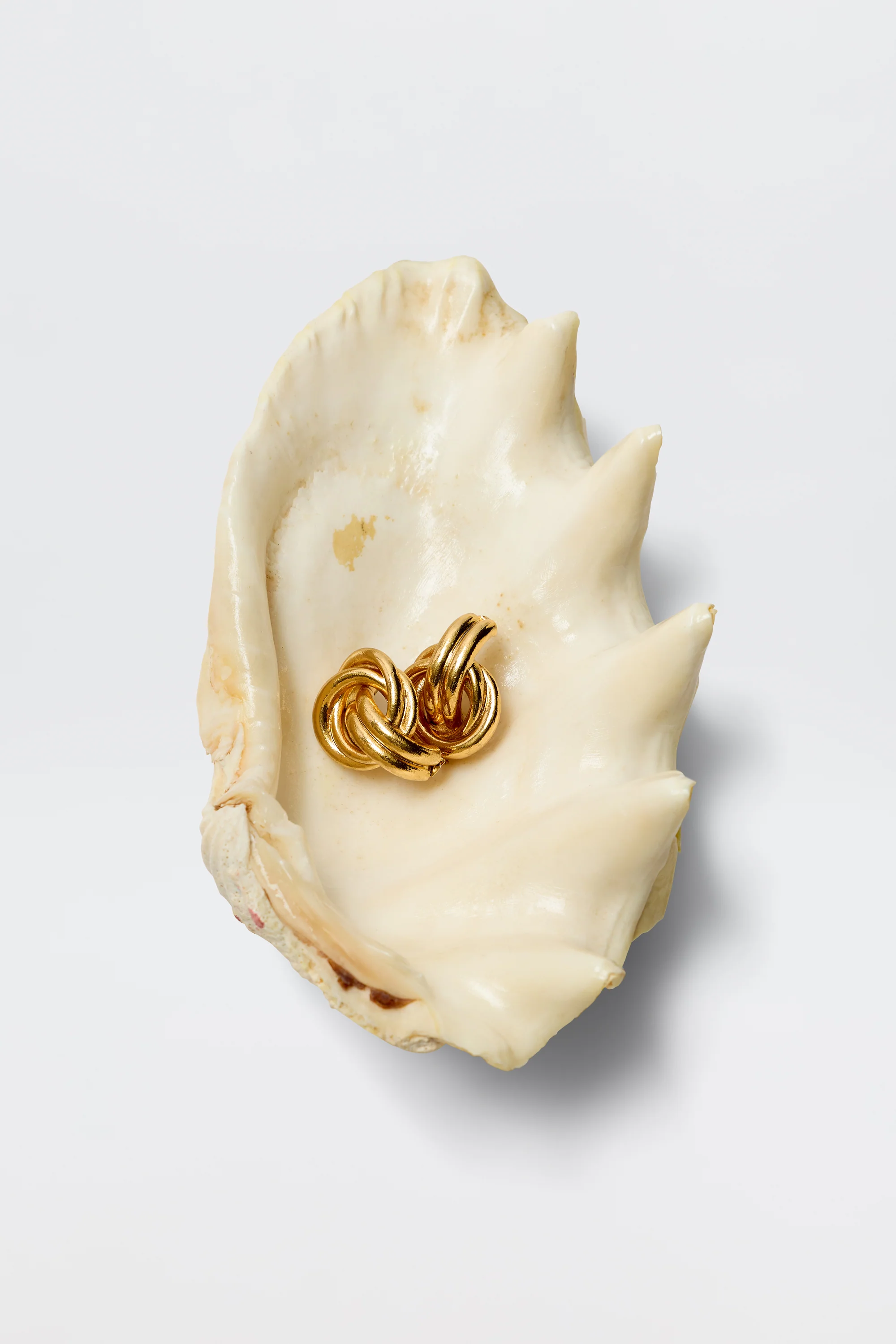 Nolana - Gold - Image 3